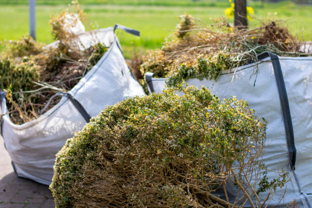 Best Trash Removal Near Me  in Springville, VA
